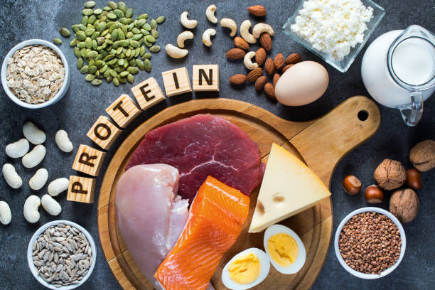 High protein food as meat, fish, dairy, eggs, buckwheat, oatmeal, nuts, bean, pumpkin seed and sunflower seed