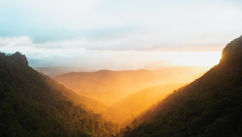 Why Ayurveda is the Ultimate Luxury Wellness Experience for High-Performing Leaders