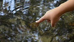 A Journey Through the Hypothetical & The Literal Power of the Ripple Effect