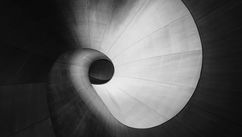 What Elon Musk Could Learn From Nature
