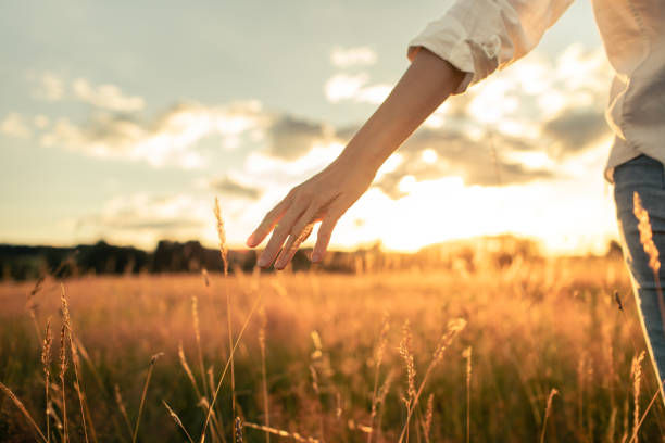 Person in a sunlit field at sunset, hand brushing tall grass, with a warm golden sky and peaceful mood.
