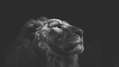 The Myth of Having It All and What to Choose Instead