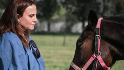 How Horses Help You Lead Your Emotions in the Age of AI