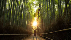 Top 10 Waymarks on the Path to Success