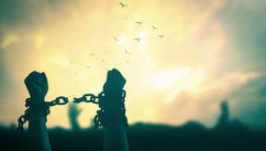 High Achiever, Deep Pain and How Trauma-Driven Overachievement Hides Shame and How to Break Free