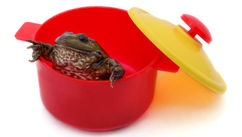What the Frog in Hot Water Can Teach Us About The Hidden Cost of Staying 'Fine'