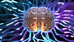 10 Questions To Determine Your Brain Dominance