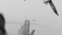 Letting Go Of Who Got You Here