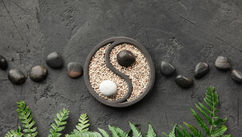 Yin and Yang Through the Lens of Modern Biology