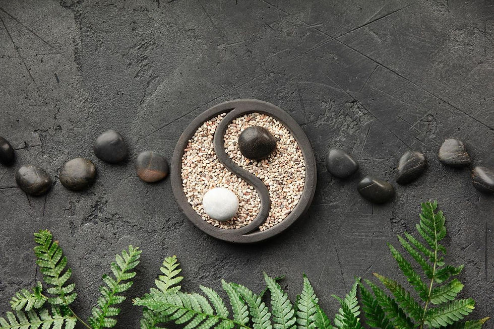 Yin-yang pebble arrangement on dark stone, framed by green fern leaves, with a calm zen mood