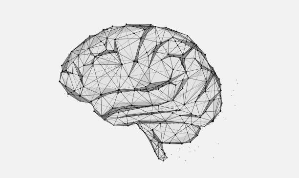Abstract wireframe of a brain on a light gray background, featuring interconnected black lines and triangles creating a geometric pattern.