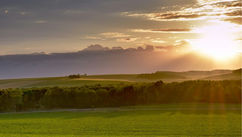 Eight Steps to a Harmonious Start and Why Mornings Are Sacred