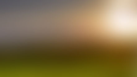 Eight Steps to a Harmonious Start and Why Mornings Are Sacred