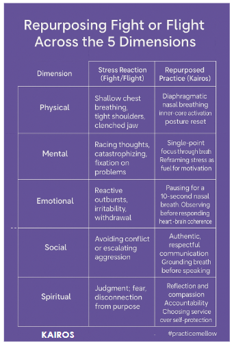 Chart titled "Repurposing Fight or Flight Across the 5 Dimensions," comparing stress reactions and practices in physical, mental, emotional, social, and spiritual dimensions.
