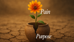 What’s the Purpose of Our Pain? – Exploring the Hidden Role of Symptoms in Mind-Body Healing