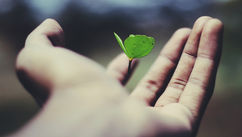 3 Steps To Creating A Magnetic Life You Love With Ease