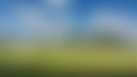 An Invisible Disability – The Challenges Of Visual Impairment In Cricket, A Personal Story