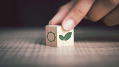 Greenwashing In Interior Design – Navigating Healthier And More Sustainable Choices