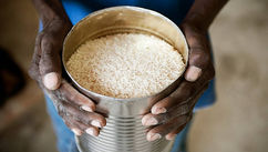 Black Rice – How U.S. White Supremacy Took Away Haiti's Rice