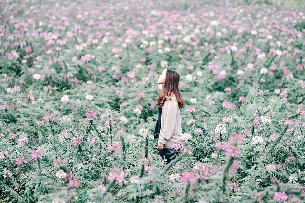 Woman surrounded with white and pink flowers