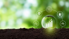 Green Global Sourcing – Navigating Sustainable Supply Chains In China