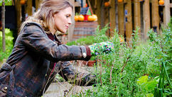 Best Practices For Herbal Gardening