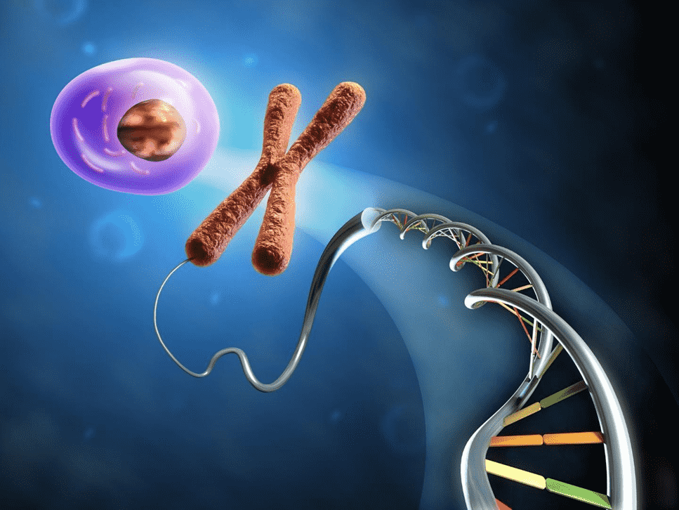 Genetic example