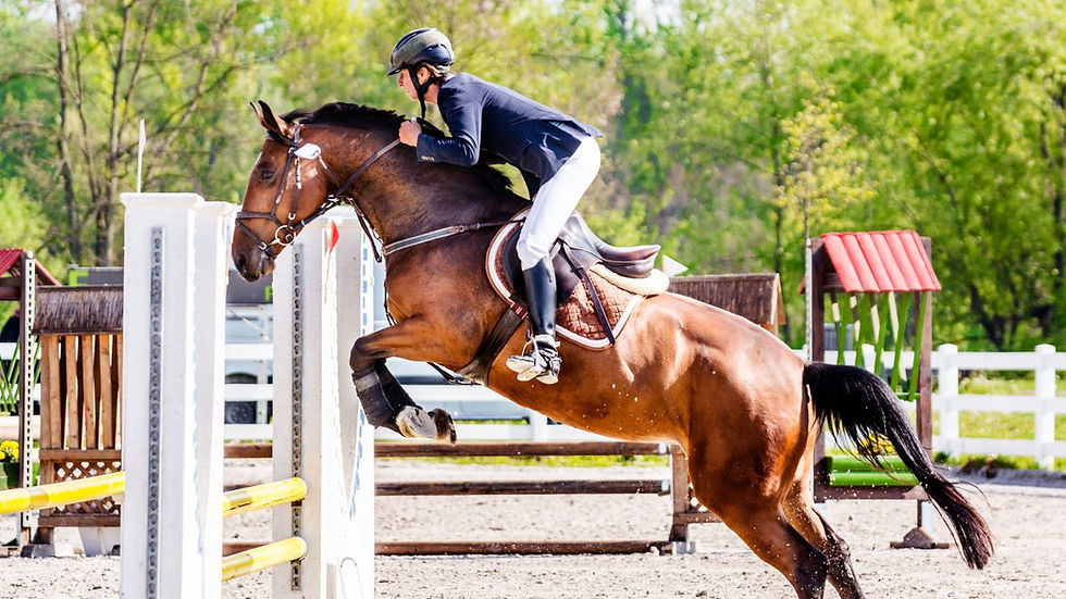 A man riding a horse.