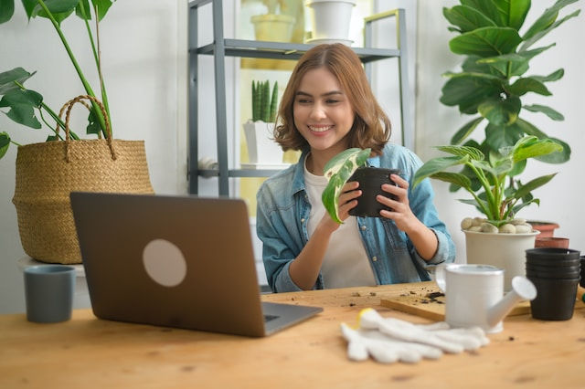 Young woman entrepreneur working with laptop selling plants