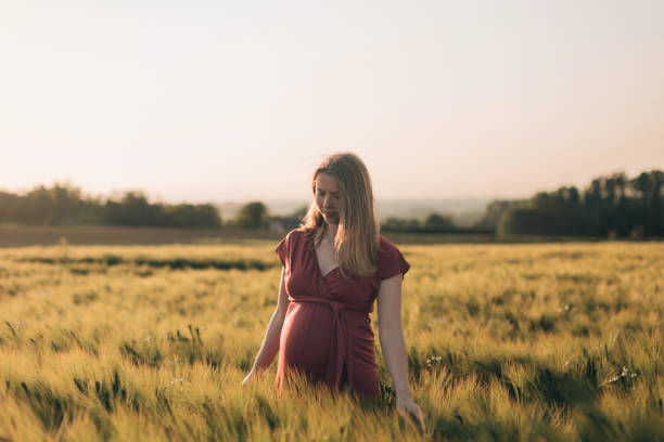 Portrait of a dreamy pregnant woman in a wheat field at sunset.