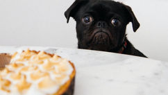 Are Your Coping Strategies Making You Feel Worse?