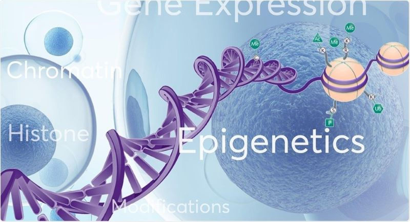 Genetics illustration