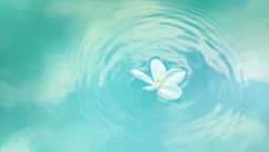 Top 5 Quick And Effective Meditation Techniques For Busy Professionals