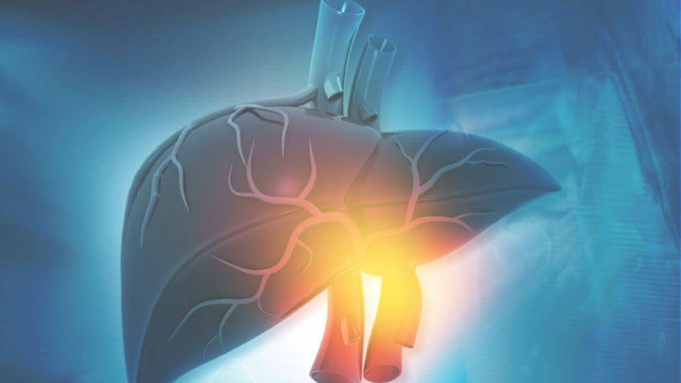 photo of a human heart