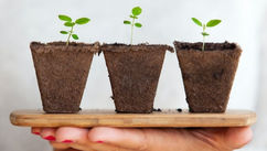 Green Companies – Overcoming Challenges Faced By Business Leaders