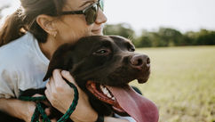 5 Effective Ways To Secure Custody Of Your Beloved Pet During Separation Or Divorce