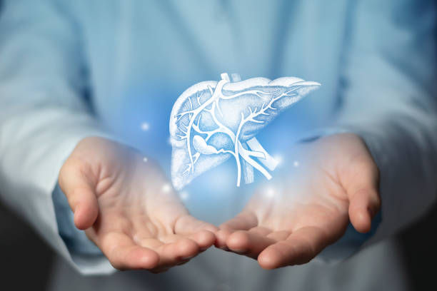 Photo of female doctor holding a iver illustration.