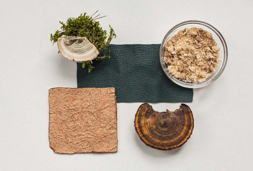 Various natural textures on a white surface: moss with fungus, a green fabric strip, wood chips in a bowl, a cork square, and a mushroom half.