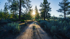 A Roadmap to Healing – How to Know You Are on the Right Path