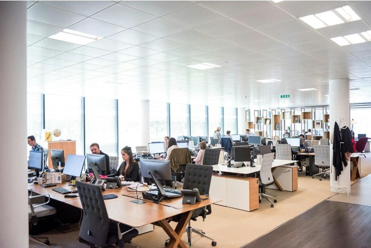 people in an office setting