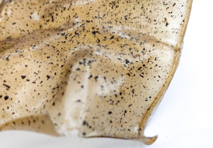 Close-up of a speckled, translucent brown leaf with a textured surface. White background enhances the leaf's earthy tones and patterns.