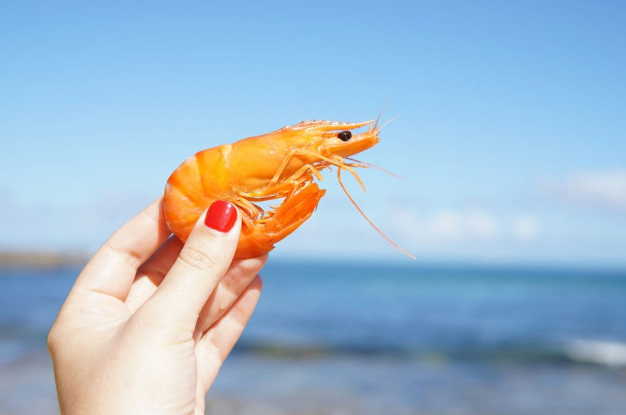 Hand with red nails holds orange shrimp against a vibrant blue ocean and sky background, capturing a bright, sunny mood.