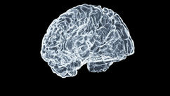 Why Understanding Your Nervous System Changes Everything
