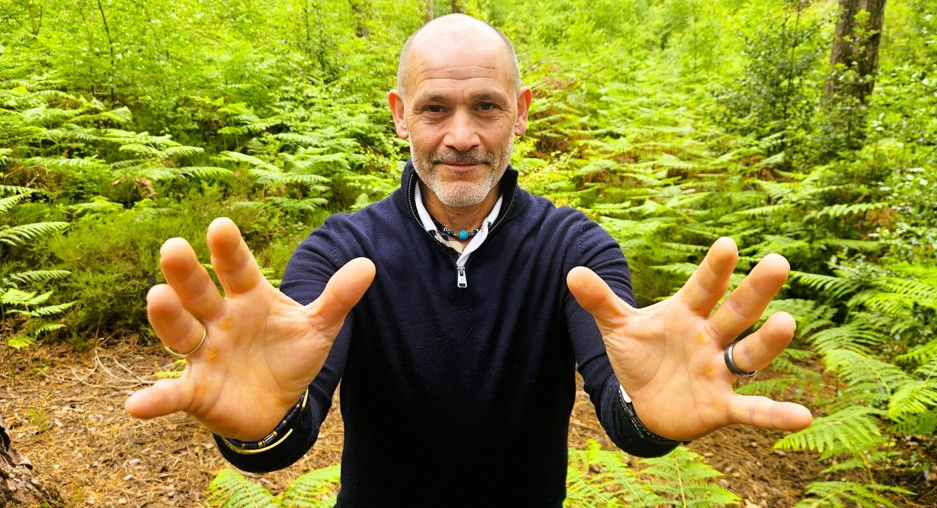 Bald man in black sweater reaches hands toward camera in lush green fern forest, calm expression.