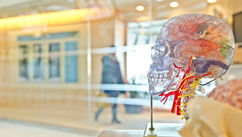 What a Neuroscience-Informed Board-Certified Behavior Analyst Sees That Others Miss