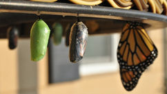 The Personal Growth No One Talks About – Slow, Uncomfortable and Real