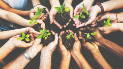 4 Ways To Hire An Environmentally Focused Team