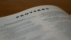 7 Public Speaking Proverbs To Enlighten Your Presentations 