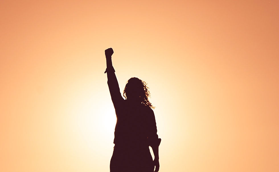 The image shows a silhouette of a person with their fist raised in the air, against a sunset background.
