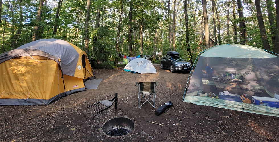 Black car and tents, camping in the forest.